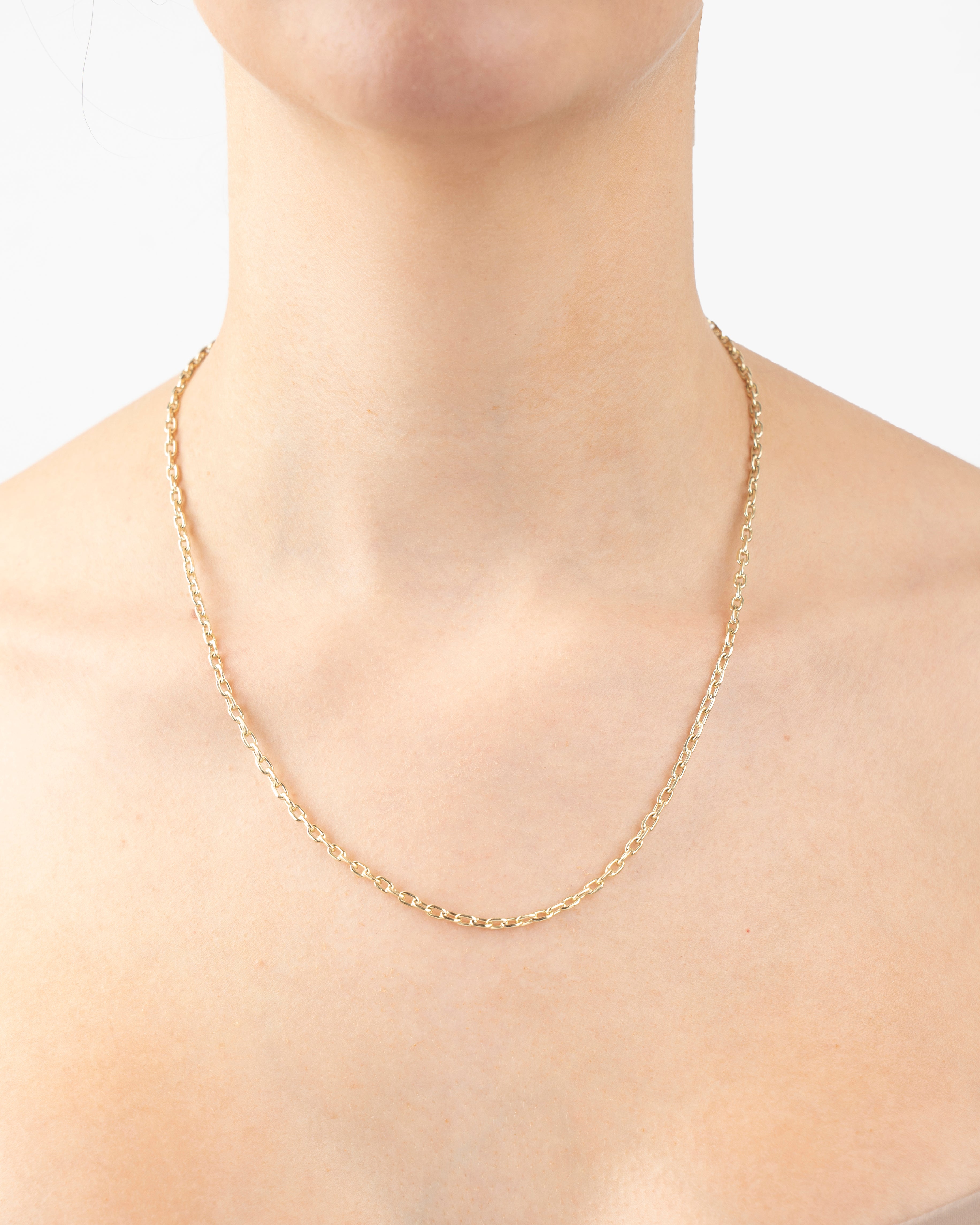 Ručne pílovaná retiazka Artis šírka 2,5mm , 14K zlato